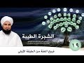 19 فروع العفة من الطبقة الأولى الشجرة الطيبة الحبيب علي الجفري