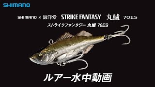 【水中ルアー動画】ストライクファンタジー 丸鱸 70ES
