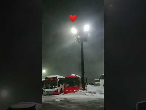 Камчатка. Вот она погода моей мечты!!!❤️🥶 #пурга #камчатка #kamchatka #blizzard #snow #ветер #Россия
