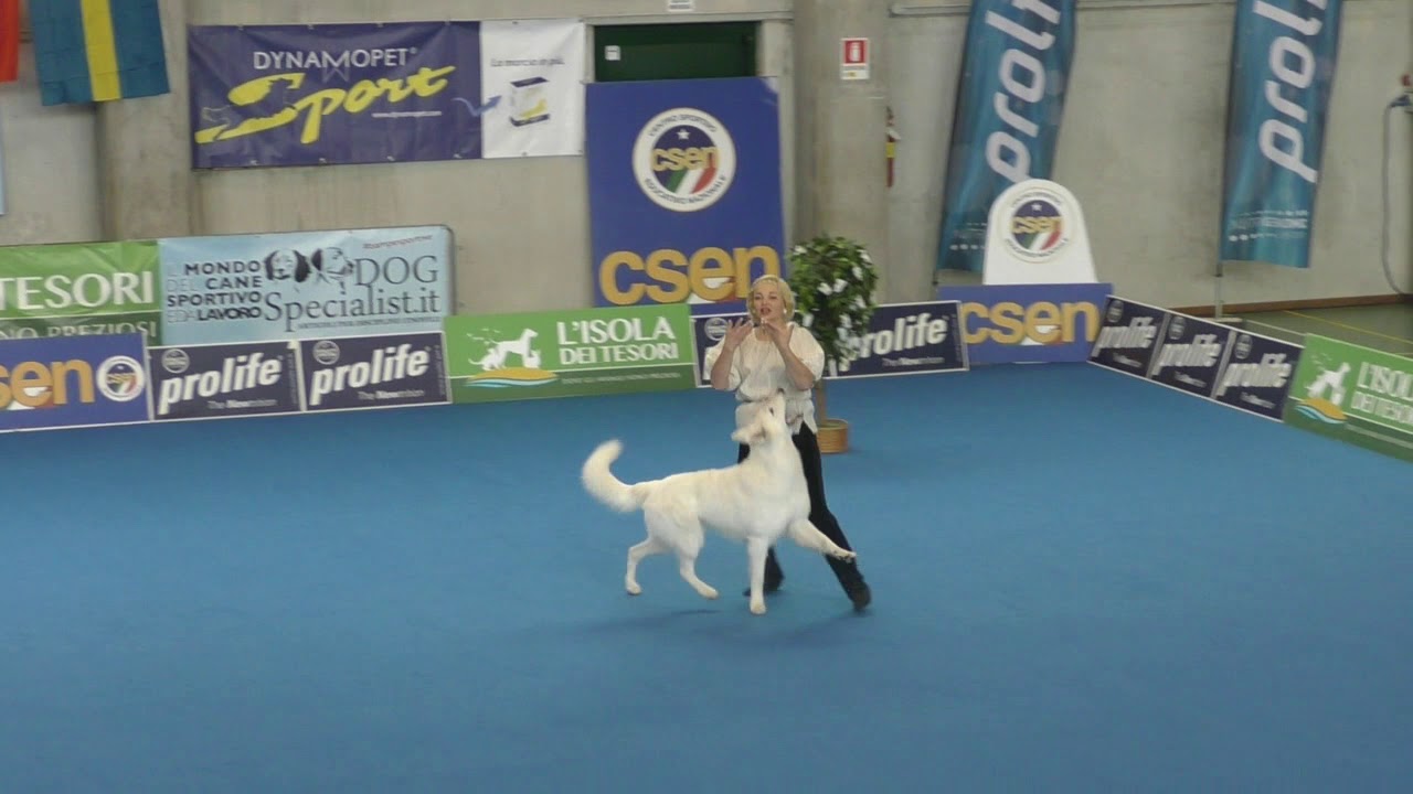 OEC 2019 Irina Kashcheeva and Lasha