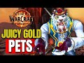 WoW Silithid Pet FARM is AWESOME for Gold Making!