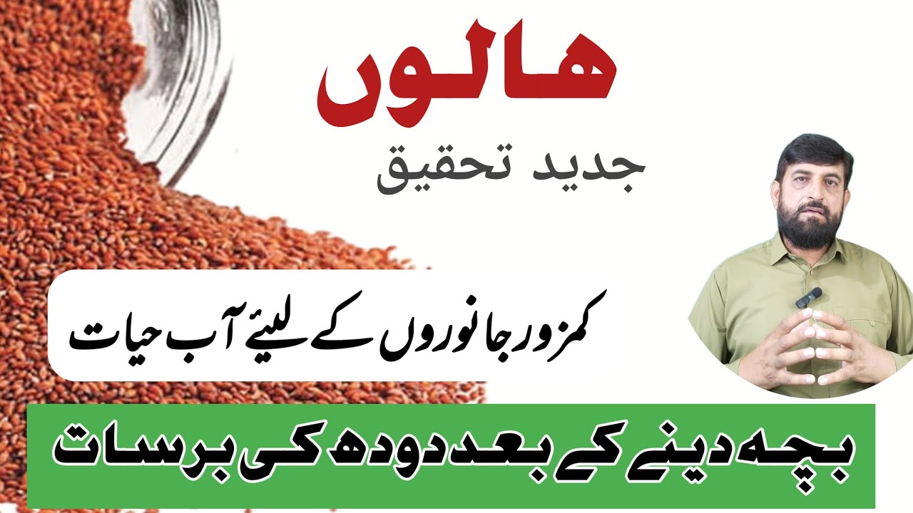 Haloon Ka beej ہالوں Janwaroon ko Farba موٹا Karnay Aur Gaye Bhains Ka Doodh Barhanay Mein No.01 