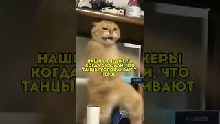 Печать на футболках СПб
