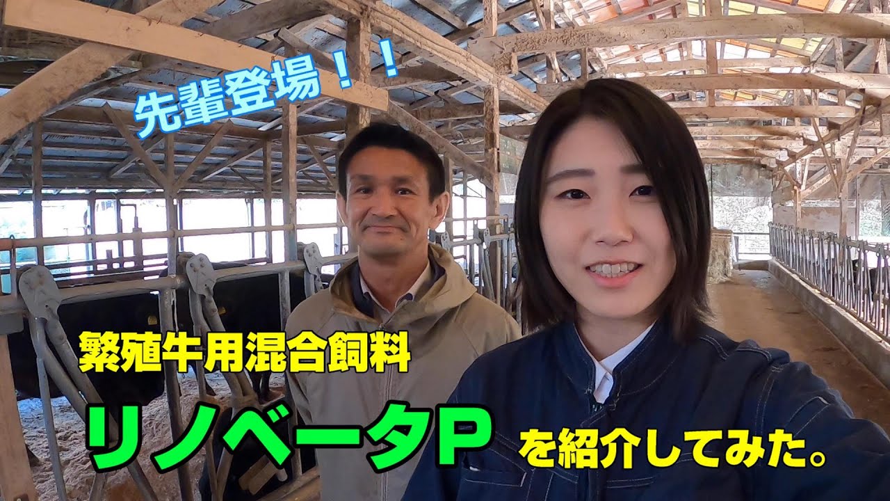 サプリメント製品 | 日本農産工業株式会社