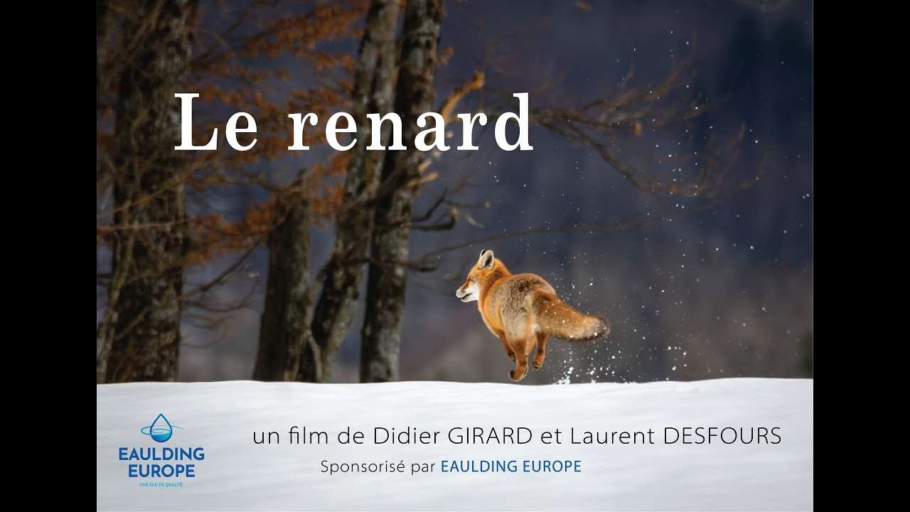 LE RENARD - Film officiel 2022 - (en lien avec le projet 2024 du film