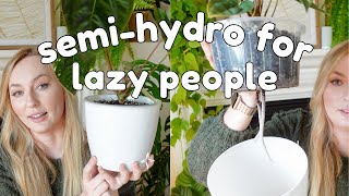 the BEST growing method for houseplants?semihydro guide for lazy people