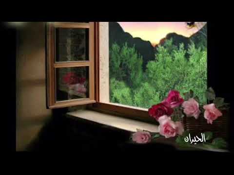 شيلة انا مادري وش الي جابني