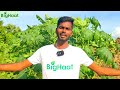 Bighaat App | Free agriculture app in Tamil Mp3 Song