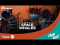 Capture de la vidéo Space Whales (Live Performance) Ft. Sam Miller (Comedy) - The Night Quill Sessions