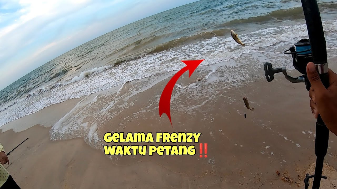 Mancing petang tepi pantai ,ikan friendzy‼️30 minit sebelum berbuka puasa!!