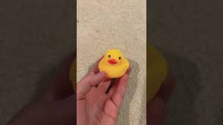 #day21 of #opening #rubberducky #adventcalendar.   #christmas2024 #adventunboxing #toys #shorts