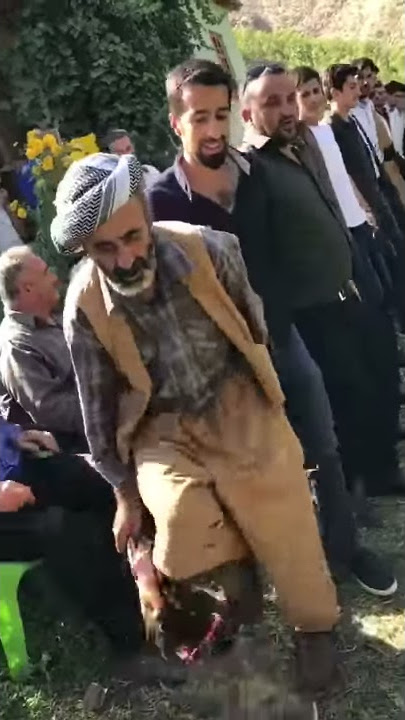 Kurdish Dance - Halay || (NATTI - Himachali Songs 2019) #Halay #Natti #turkish #himachali #kurdish