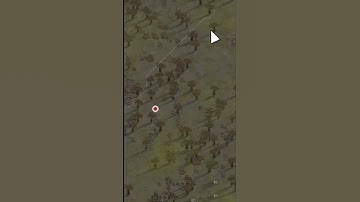 [RimWorld] Nana THOUGHT She Was Going to Make It Off the Map!  #Gaming #RimWorld #Twitch