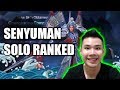SOLO RANKED PAKE SKIN BARU ZILONG!