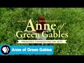 Understanding Anne's Character and Behavior