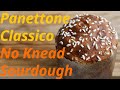 How to make No Knead Sourdough Panettone｜Naturally Fermented Bread｜CJ BEKSUL Strong Flour｜Rofco Oven