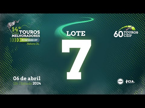 LOTE 7 V9010722 - 14º Leilão de Touros Melhoradores Nelore OL - Edição Virtual