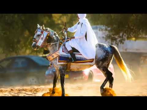 اغنية ليبية التي لاقت صدى و شهره في العالم العربي وتركيه كلمات مكتوبه