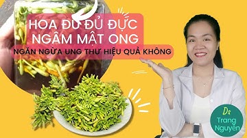 Hoa đu đủ đực ngâm mật ong giúp phòng chống bệnh ung thư hiệu quả