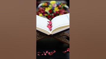 روائع التلاوات النادره للشيخ عبد الباسط #اكسبلور #المصحف#duet#القزابري #من #دويتو #الرحمن#beautiful