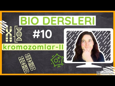 Video: Bir kromozom eksikse ne olur?