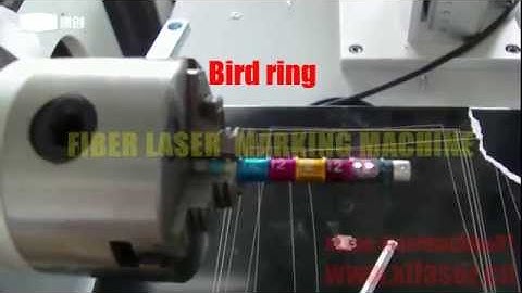 Bird ring fiber laser marking machine