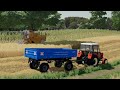 żniwa 2022 bizon i zetor w akcji