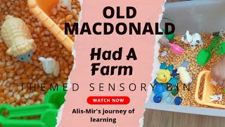 Old MacDonald Had A Farm Themed Sensory Bin | Farm Sensory Bin For Toddlers