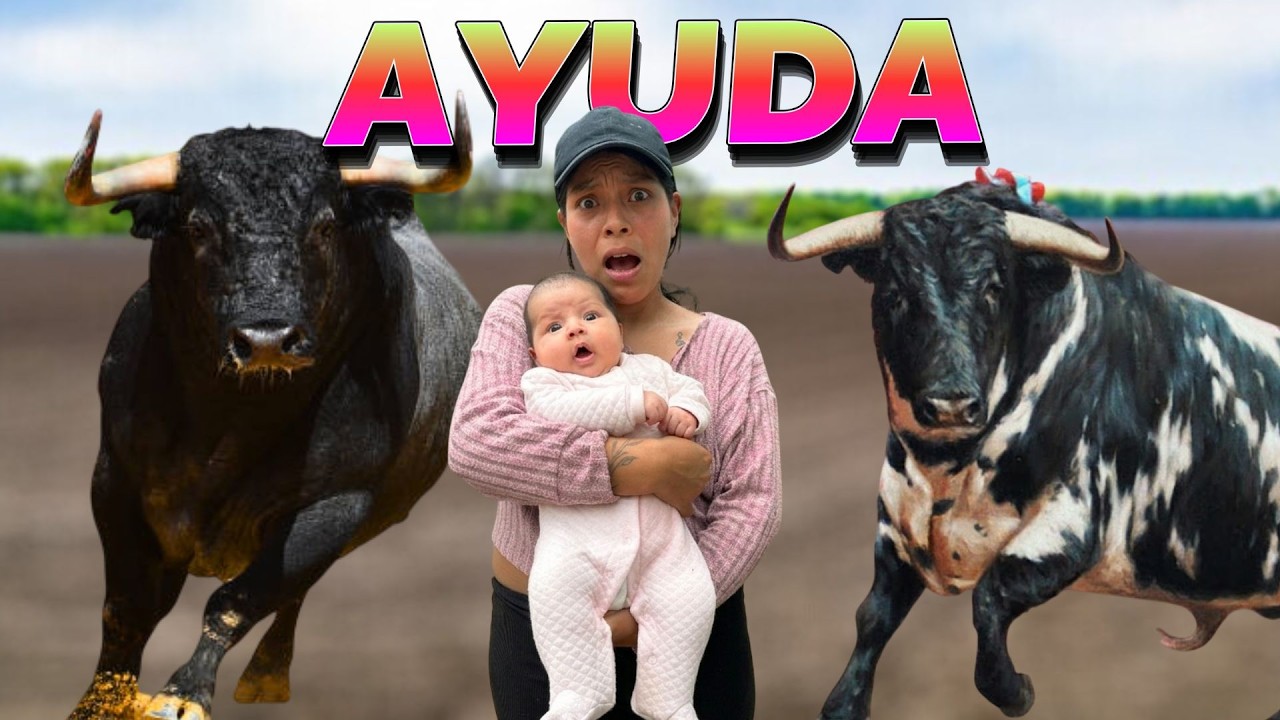 Hoy Sali a Ayudar a ver las Vacas de mi Mamá y miren lo que me Paso