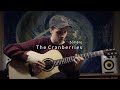 Zombie - The Cranberries | Max Luders Acoustic Guitar Cover + Solo