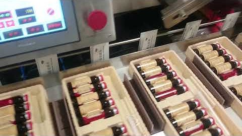 YL-100 Automatic Cartoning Machine