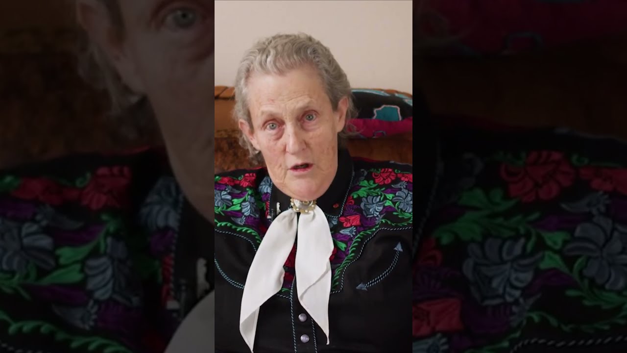 The MOMENT Dr Temple Grandin Noticed A UNITED AIRLINE SCRAMBLED SCREEN Which No One Else