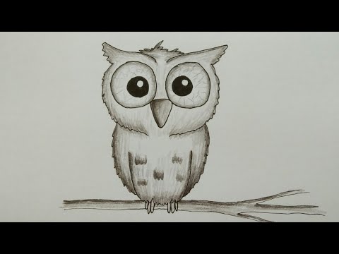 Video: Cara Menggambar Burung Hantu Dengan Pensil