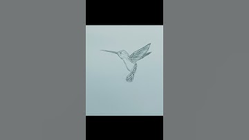 how to draw hummingbird || bird drawing || bird drawing || pencil drawing || easy drawing