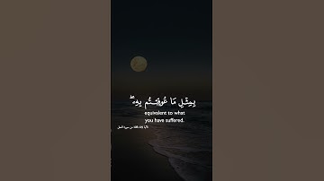 سورة النحل 🫀#قرآن #قران_كريم #memes #capcut#اكسبلور #follow #foryou #لايك #fyp #makkah #راحة_نفسية