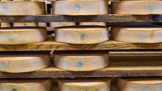 Tutti i segreti della FONTINA perfetta 🧀 #cheese #fontina