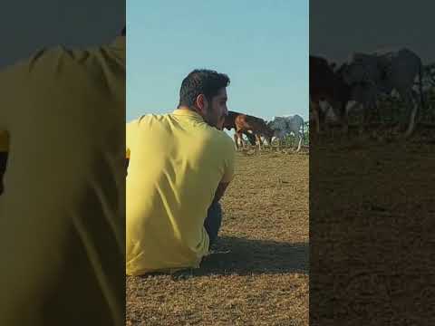 ییلاق زیبای اولسبلانگاه ماسال