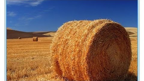 bale net  or pallet net warp knitting machine