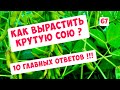 ТЕХНОЛОГИЯ ВЫРАЩИВАНИЯ СОИ. 10 ГЛАВНЫХ ВОПРОСОВ !!!!