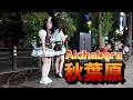 nightwalk in Akihabara【夜の秋葉原をお散歩】2026年6月19日