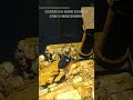 A mira tava calibrada - Dark Souls 3 com o Mercenário