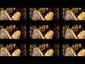 Akhiyan De Raahe Tenu Dil Ch Vasaya Ni, Dil De Vede Tera Aalna Banaya Ni, Ankhiya De Raahe Tenu Dil Ch Vasaya Ni, Dil De Vede Tera Aalna Banaya, Meri Jaan Jaan Meri Jaan, Meri Jaan Jaan Meri Jaan