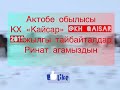 Мугалжар жылкысы КХ «Кайсар» 19жылгы тайбайталдар Ринат агамыздын #россия #казахстан