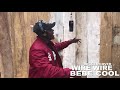 WIRE WIRE REMIX BEBE COOL OFFICIAL VIDEO 2019 REGGEA VERSION BY GAEL WILL HD WIRE WIRE REMIX BEBE COOL OFFICIAL VIDEO 2019 REGGEA VERSION BY GAEL WILL HD
