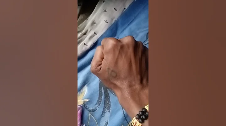 you've probably never seen this many ofthem before #snail #anyuniqueanimals#shorts #funny #comedy 🤣