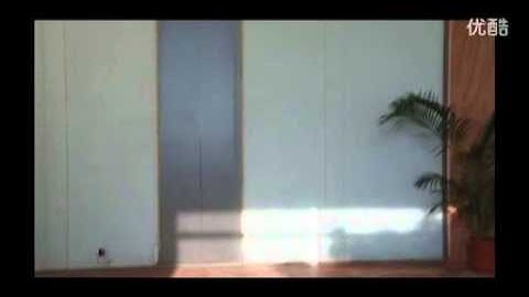 (3D Aerobatic Flight) Walkera Genius CP Electric Helicopter