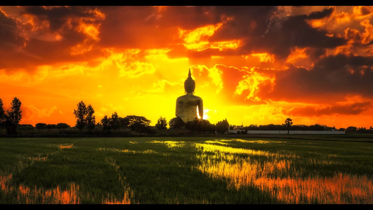 ร่วมปฎิบัติธรรมออนไลน์ นั่งสมาธิออนไลน์ ปีที่ 5 วันที่ 1,517