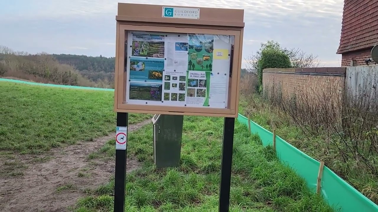 Nature Walk   Pewley Down, Guildford, Surrey, UK