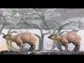 Italie - Espagne | Or équipes femmes - World 3D 2017