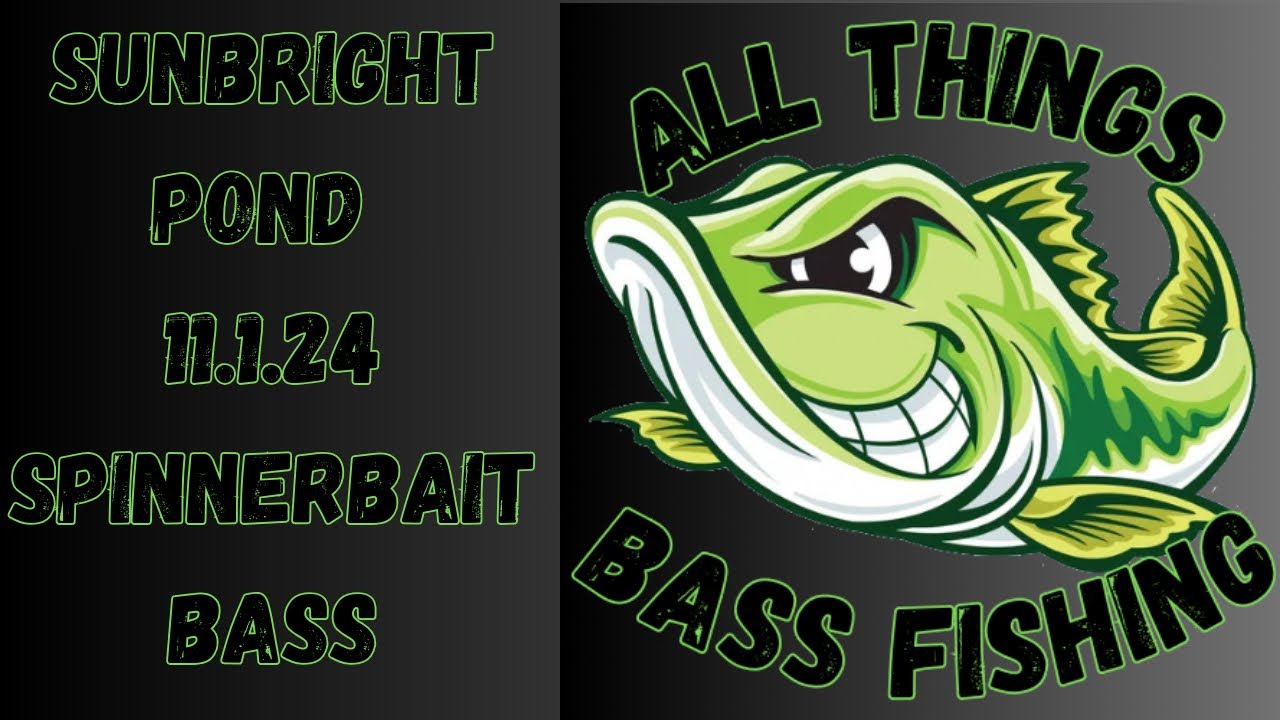 Bass fishing with a Spinnerbait catches GOOD ONES!